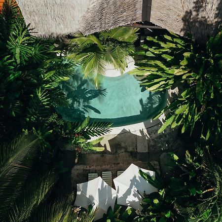 Conga Boutique Hotel Puerto Viejo de Talamanca Eksteriør bilde