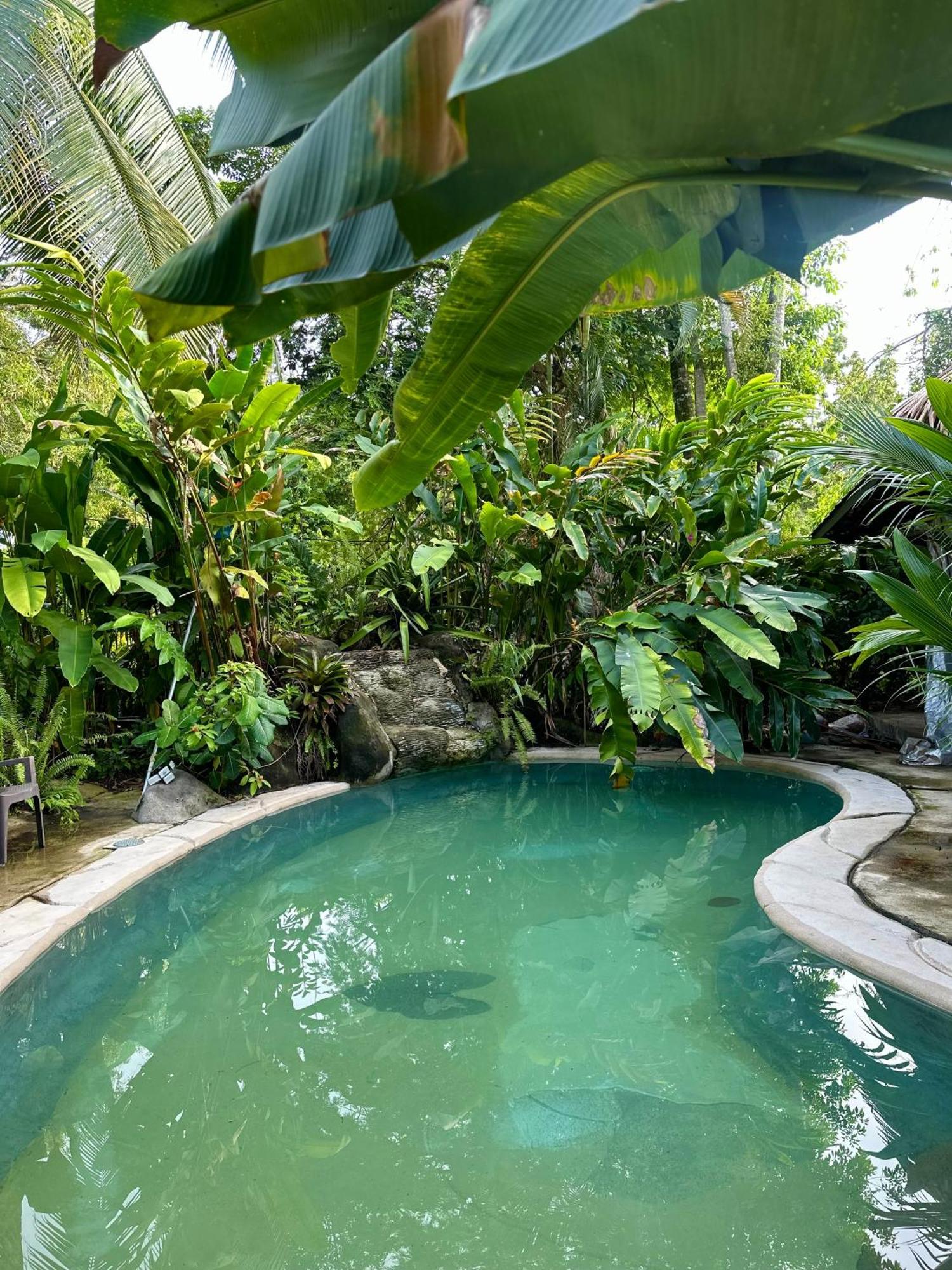 Conga Boutique Hotel Puerto Viejo de Talamanca Eksteriør bilde