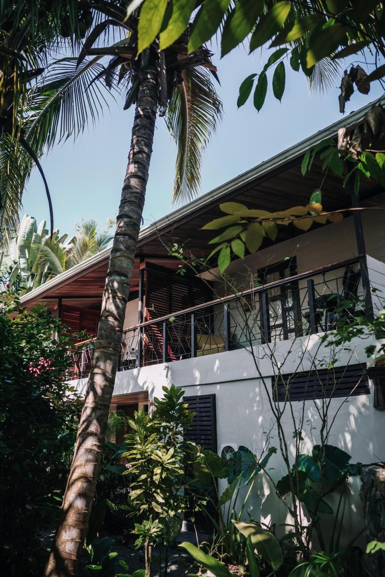 Conga Boutique Hotel Puerto Viejo de Talamanca Eksteriør bilde
