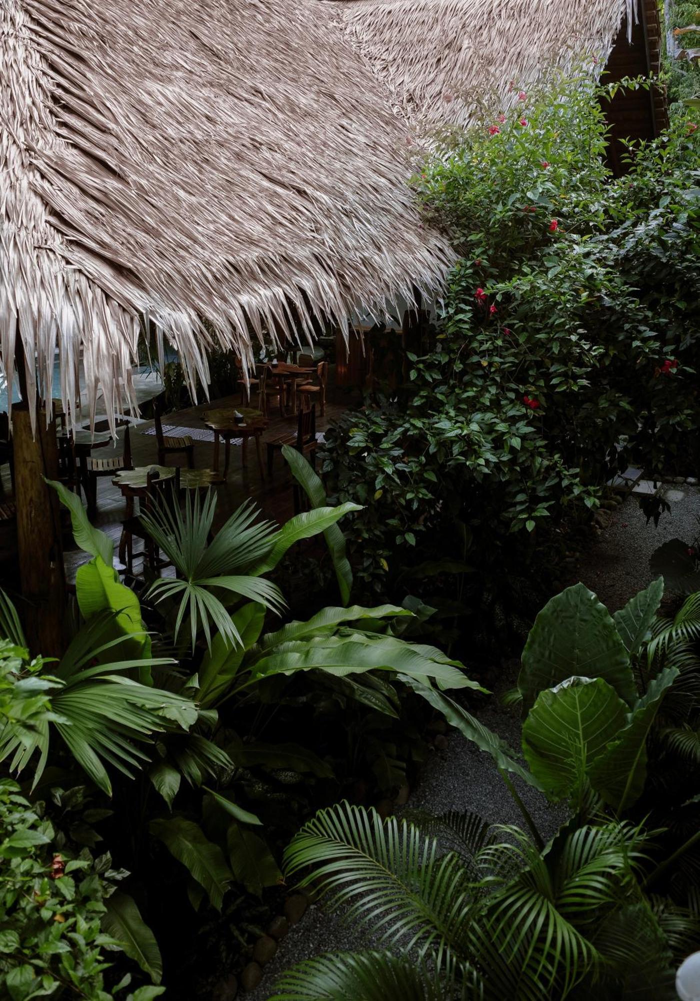 Conga Boutique Hotel Puerto Viejo de Talamanca Eksteriør bilde