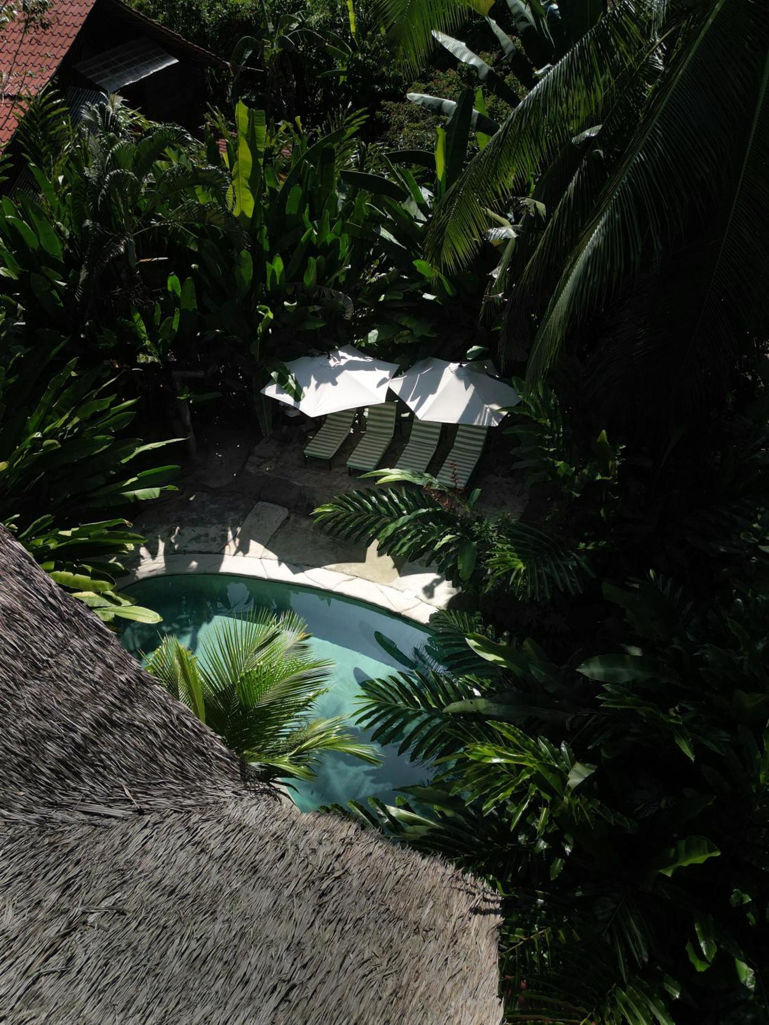 Conga Boutique Hotel Puerto Viejo de Talamanca Eksteriør bilde